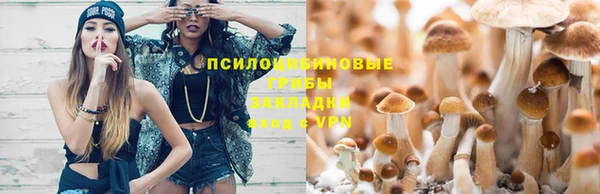 стаф Семикаракорск
