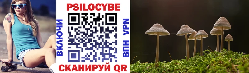 Галлюциногенные грибы GOLDEN TEACHER  Купить  Евпатория 